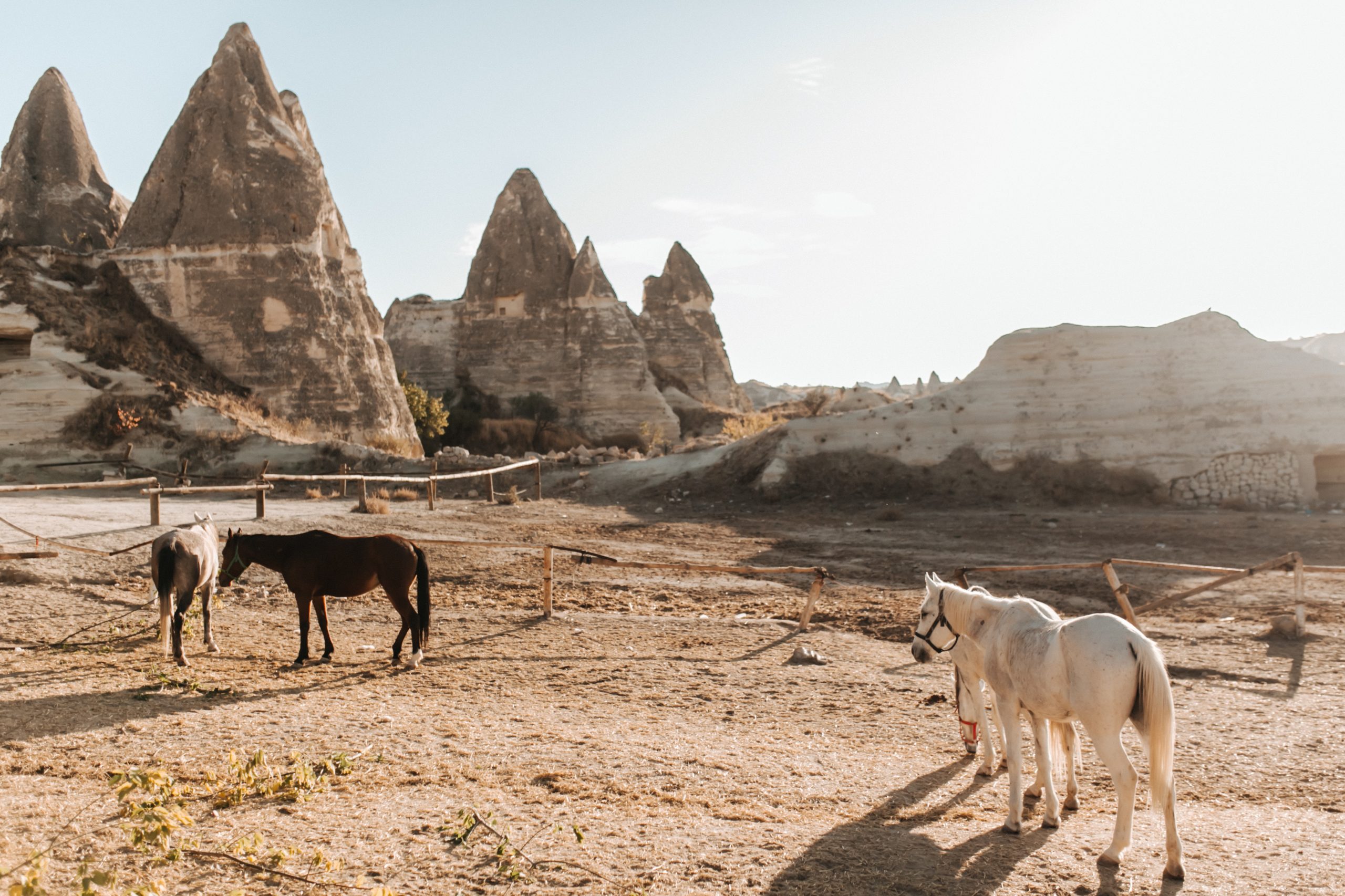 Cappadocia Horse Riding, horseback riding, horse, valley riding, göreme, 1 hour horse tour, where can i go horse riding for a day? what includes?